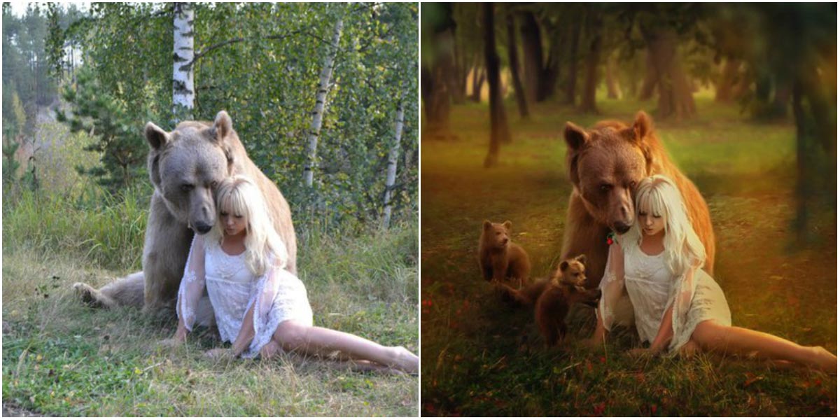 AcademyVerse - Image 4