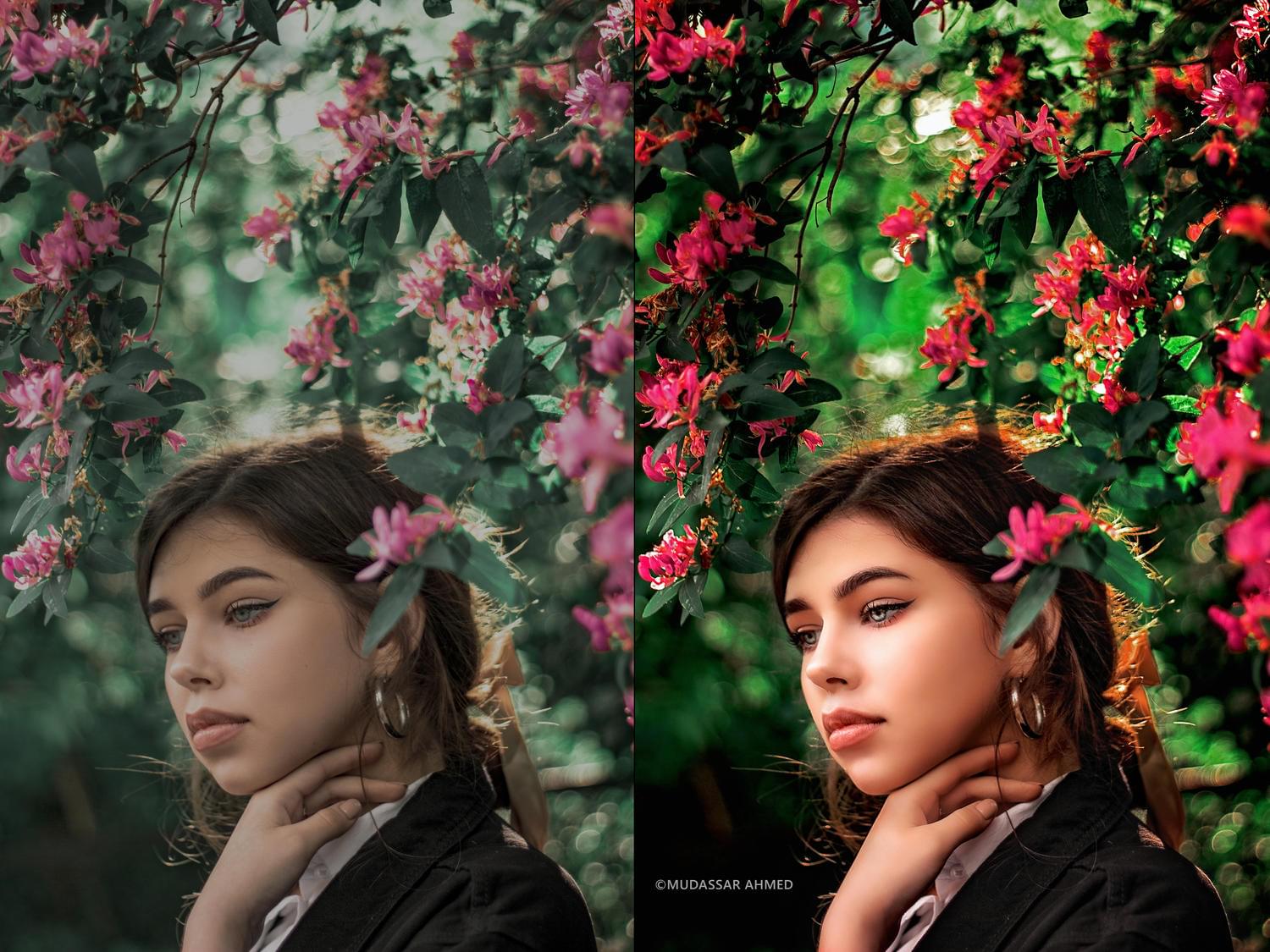 ScholarConnect - Image 2